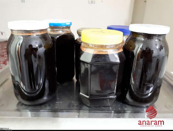 Export Pomegranate Molasses Bottles from Iran to Arab countries
